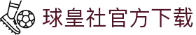 球皇体育即时比分_今日足球赛果查询与全球足球比分直播